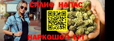 индика Рузаевка