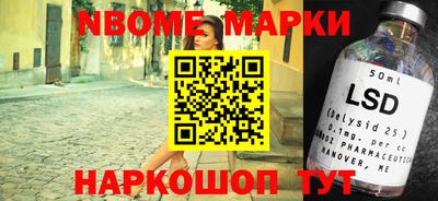 индика Рузаевка