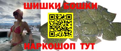 индика Рузаевка