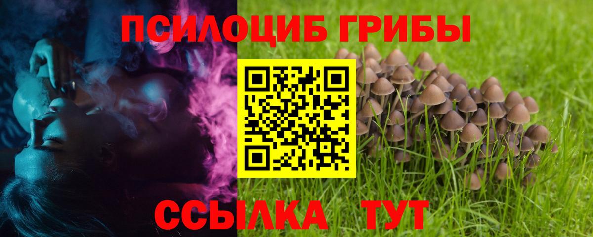 Псилоцибиновые грибы GOLDEN TEACHER Сарапул