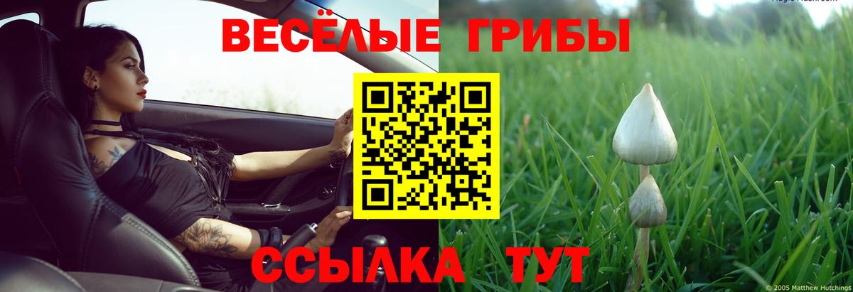 Галлюциногенные грибы прущие грибы  Вход с VPN  Сарапул 