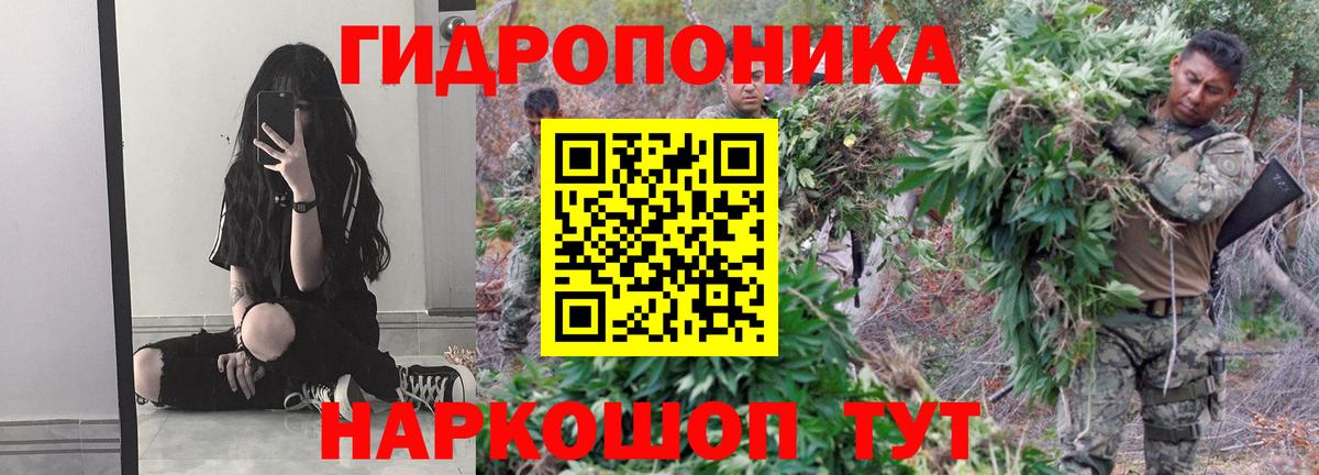 Бошки марихуана планчик  Вход с VPN  Марихуана планчик  МАРИХУАНА индика  Сарапул 